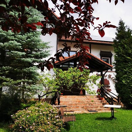 Pensiunea Muntele Rece Bran  Exterior photo