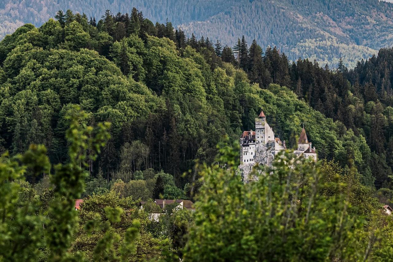 Pensiunea Muntele Rece Bran  Exterior photo